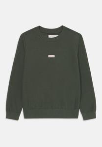 Джемпер Calvin Klein Jeans LOGO LABEL UNISEX, Thyme/Green