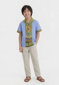 Неформальная рубашка в тонкую полоску с изображением диких кошек, детская блузка унисекс на пуговицах Versace, Light Blue/Bianco/Sage Green