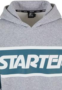 Толстовка с капюшоном Starter, серый