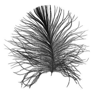 Фреска Komar Feather, 50x70x0,1 см, черно-белый