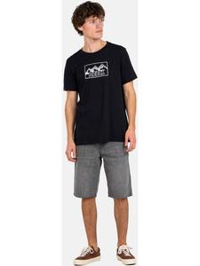 Reell Шорты «Rafter Short 2» серого цвета