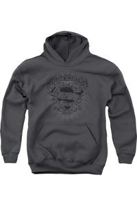 Молодежная худи Superman с принтом щита Gildan, Charcoal