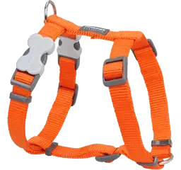 Red Dingo Classic Оранжевый подъемный ремень С Red Dingo, цвет оранжевый