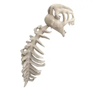 Костюмы динозавра плюшевые куклы 75 см/16 см высота Ten Thousand Children's Music