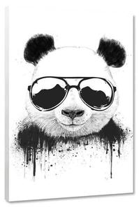 Картина на холсте Hustling Sharks Stay Cool, белый