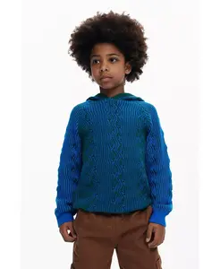 Синий свитер с капюшоном для мальчиков Desigual