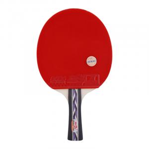 Ракетка для настольного тенниса DOUBLEFISH All Wood DOUBLE FISH, 3 star, shakehand grip[long handle]