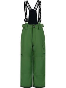 Лыжные брюки Peek U, зеленый