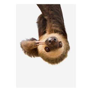 Картина на холсте A.S. Création Faultier цвет braun/weiß