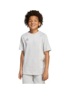 Футболка Performance ADIDAS PERFORMANCE Tiro 25 Travel, серый