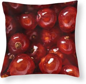 HighonHi Декоративные подушки для дивана Currants, сатиновые наволочки с тропическими фруктами, скрытая молния Pattern-2