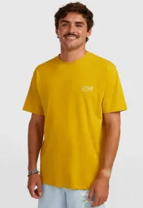 O'Riginals cali tees shortsleeve basic tshirt O'Neill, Fern