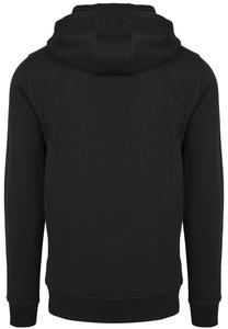 Толстовка с капюшоном STAR WARS TATOOINE LOGO F4NT4STIC, черный