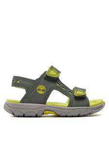 Сандалии Timberland Moss Jump 2 Strap Sandal TB0A68RHL951, хаки
