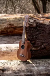 Сопрано укулеле Ortega Timber Series с сумкой