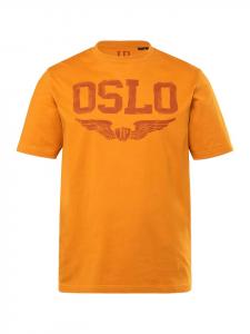 Футболка с короткими рукавами цвета карри JP1880