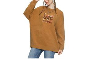 Женский свитер Lee, коричневый