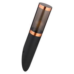 Globo Lighting Уличный светодиодный настенный светильник Boston, черный, нержавеющая сталь