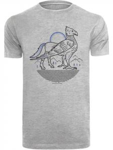 Футболка F4NT4STIC Harry Potter Buckbeak Line Art, пестрый серый