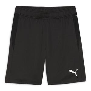 Мужские шорты Puma teamGOAL Training Short 658643