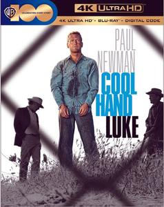 Диск 4K UHD Cool Hand Luke [1967]