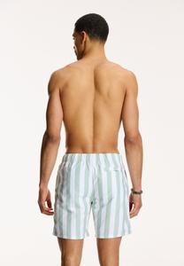Плавки Regular Fit Broad Stripe Shiwi, зеленый