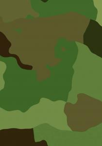 ARMY JOURNAL (Independently published)