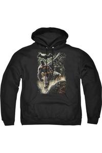 Толстовка с капюшоном Batman Family Adult Pull Over Hoodie / Толстовка с капюшоном Gildan, черный