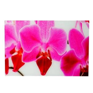 Стеклянная картина MCW T117 Orchidee, многоцветный