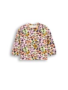 Толстовка Coccodrillo, красочный