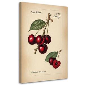 Картина арт-принт KUNSTLOFT Cherry, бежевый