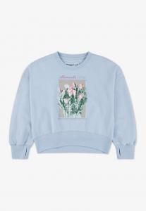 Толстовка Abercrombie & Fitch CREW, Skyway/Light Blue