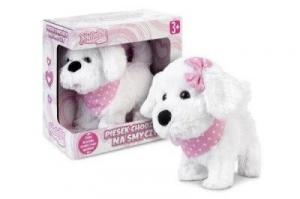 Собака гуляет на поводке Наталья. Artyk