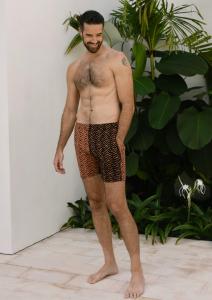 Мужские шорты Breakers с эластичной талией - принт Tiger Switch JMP The Label, цвет pattern