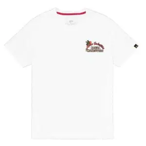 Футболка с коротким рукавом Alpha Industries Naval BP, белый