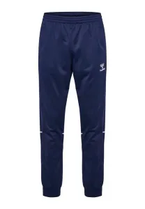 Спортивные штаны для базовой подготовки Hummel, Marine White