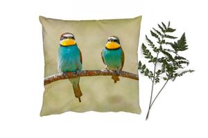 Декоративная подушка MuchoWow диванная подушка для гостиной декоративная подушка 40 x 40 см птицы - животные - щурки - чехлы на диванные подушки - без наполнителя