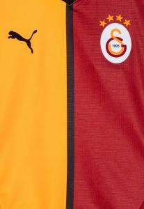 Спортивная футболка GALATASARAY HOME JERSEY REPLICA Puma, красный