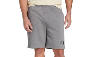 Повседневные шорты мужские серые The North Face, серый