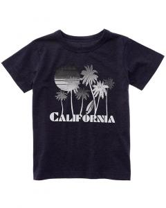 Футболка Chaser California Chaser, синий