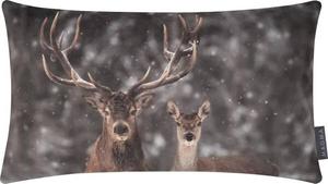 Наволочка Magma-Heimtex Hirschpaar, 30x1x50 см, серый