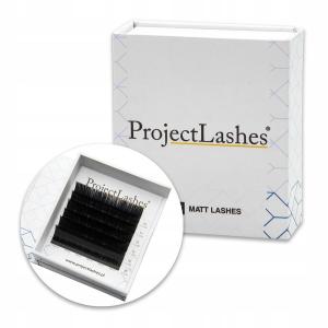 ProjectLashes D 0.10 14-16 мм черные искусственные ресницы MIX MAT для наращивания