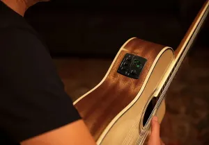 Ortega Акустико-электрогитара Family Series Pro с твердым верхом и нейлоновыми струнами, классическая, с сумкой