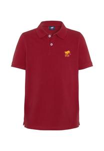 Рубашка поло с вышитыми этикетками Polo Sylt, цвет 19-1557 chili pepper