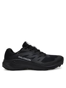Кроссовки для бега Alphaglide Gore-Tex L47802100 Salomon, черный