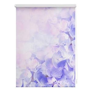 Затемняющие рулонные шторы Lichtblick Hortensie, 100x150x6 см, фиолетовый