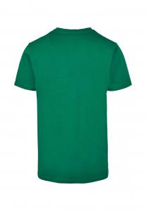 Футболка с принтом LEMONADE TEE Mister Tee, зеленый