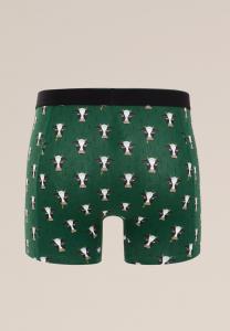 Боксеры WE Fashion, зеленый