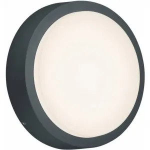 TRIO Светильники светодиодный настенный уличный светильник BREG LED-панель 1 шт. Теплый белый Trio Leuchten, антрацит