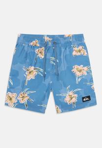 Пляжные шорты EVERYDAY STRAIGHT VOLLEY Quiksilver, синий